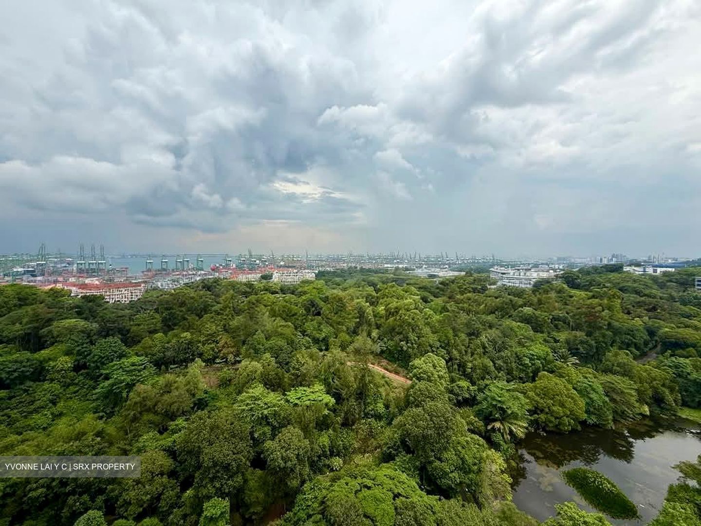 Normanton Park (D5), Apartment #566633531